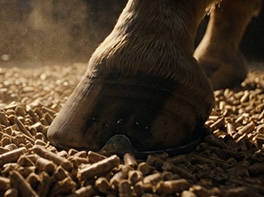 Pellets para lechos de animales en la página web del proyecto