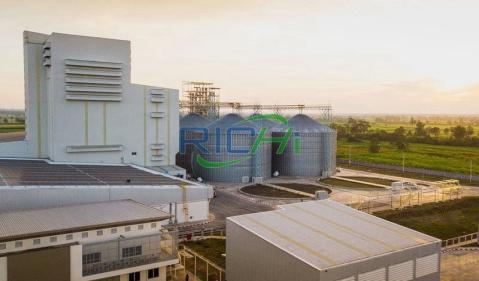 Bagasse Biomass Energy Production Line in Vietnam
