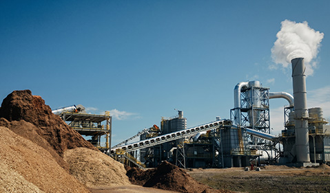 Bagasse Biomass Line in Vietnam