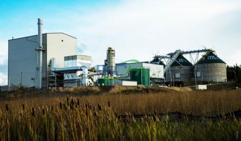 Bedding Line for Poultry Farms in Japan