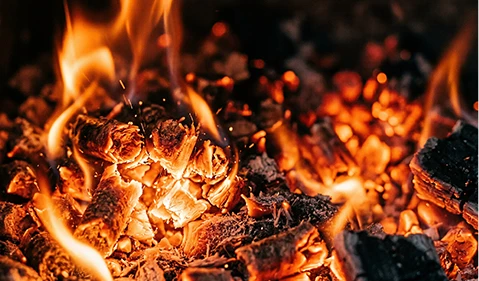 Biomass Pellets produced by RICHI’s equipment