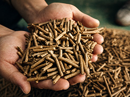 pellets de biomasa para pollos en la web del proyecto