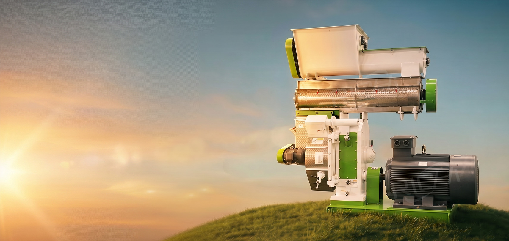 Máquina para fabricar pienso granulado para ganado