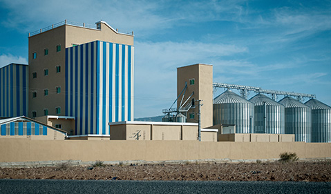 Ruminant Feed Project in Turkey