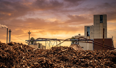 Small Sawdust Pellet Project in Lithuania