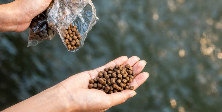 fish feed in Extruder Machine web