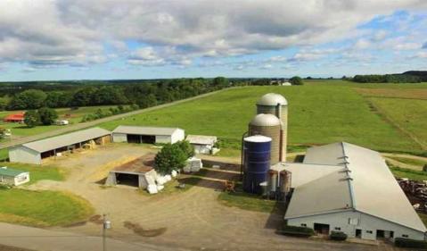 Planta comercial de procesamiento de piensos (especializada en piensos para ganado vacuno)