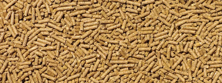 Production-d'aliments-pour-animaux-dans-le-SZLH250-web