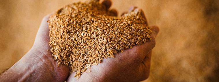 Blended Feed Production