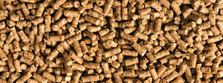Chicken feed Pellet in Chicken web