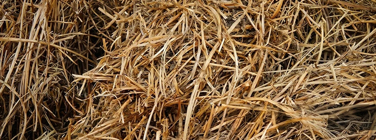 Producción de fardos desatados en la línea de producción de YPPK