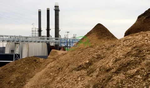 Planta de pellets de biomasa de alto rendimiento «10 TH» en Alemania