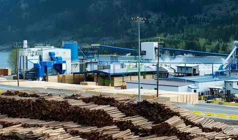 10 T/H Bagasse Pellet Project in biomass web