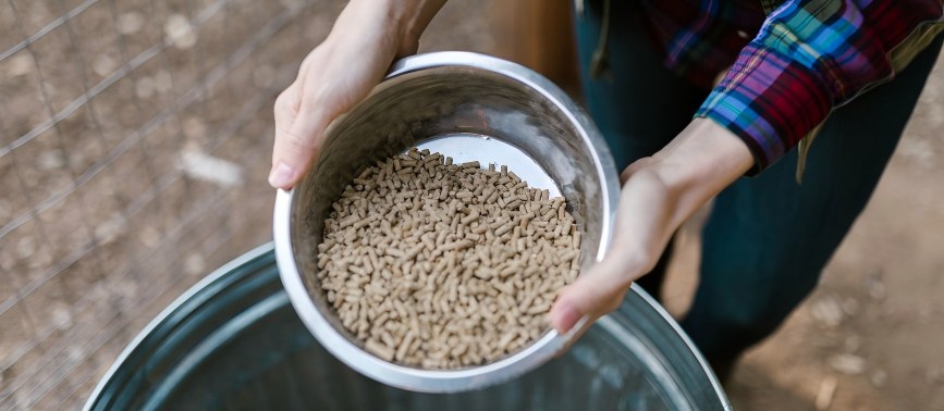 Small and Medium-sized Commercial Feed Mills