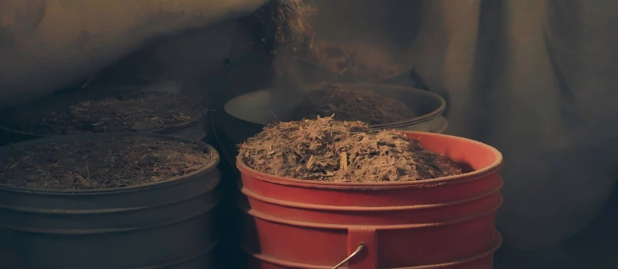 Petites usines de transformation d'aliments pour animaux