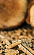 biomass in Service web