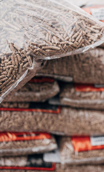 feed in cattle production line web