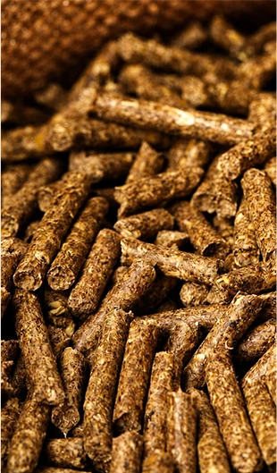 Aliment complet sous forme de granulés sur le site Pellet Web
