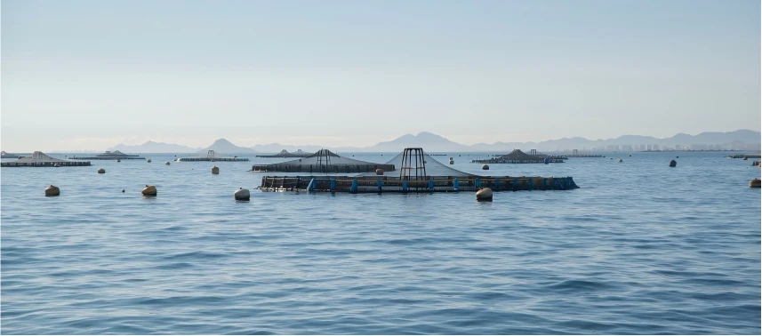 Acuicultura marina de alta calidad