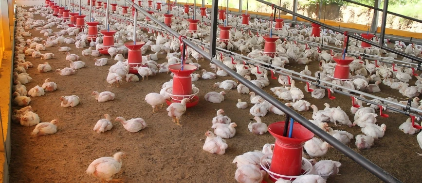 small and medium-sized family farms