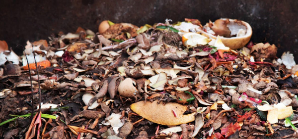 Agricultural Waste in biomass pellet web