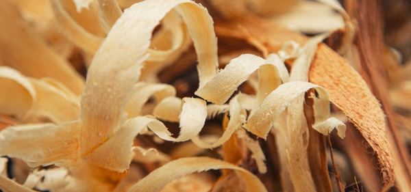 wood Chip in Biomass pellet mill web