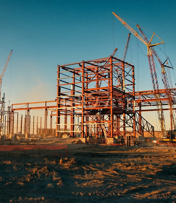 biomass Production line in architecture process