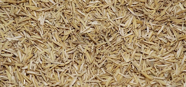 Husk Pellet in Biomass pellet mill web
