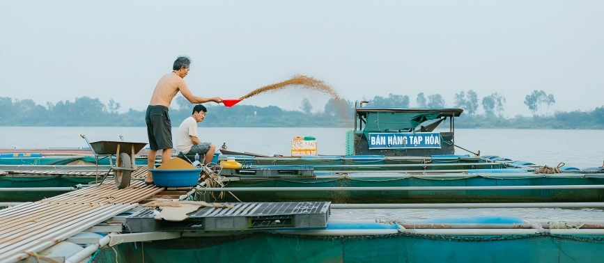 Commercial Specialized Shrimp Feed Factory in shrimp page