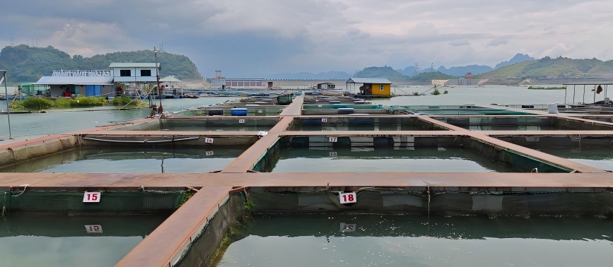 Large-scale Aquaculture Self-use Workshop in shrimp page