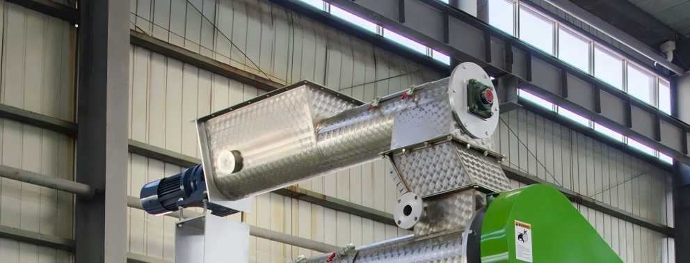 feeding System of shrimp feed pellet machine