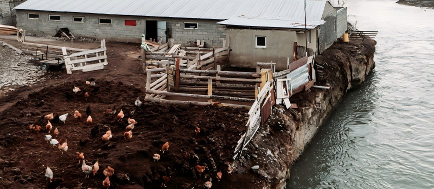 Manure recycling for large‑scale poultry farms in Chicken manure page